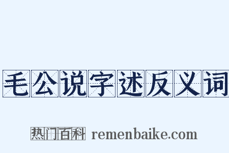 毛公说字述反义词是什么意思的图片